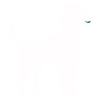 GoldenDoodle icon
